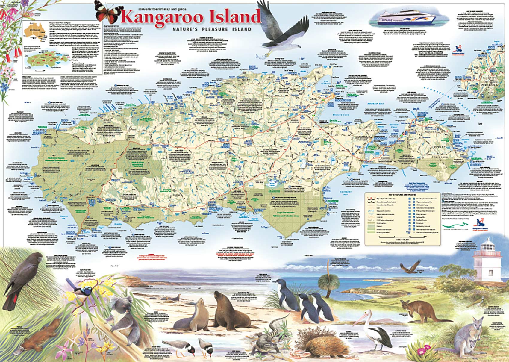 Aaustralian Map Kangaroo   KangarooIslandTouristMap Detail 